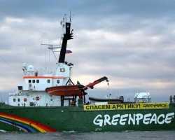 Greenpeace, appello del direttore a Putin