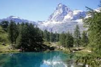 Biodiversità: individuati in Basilicata 20 Zone speciali di conservazione