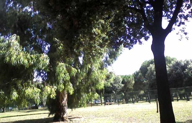 Roma: studentessa trovata impiccata nel parco Fao