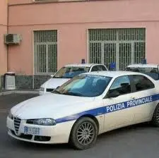 Catturava cinghiali con corde d'acciaio, denunciato