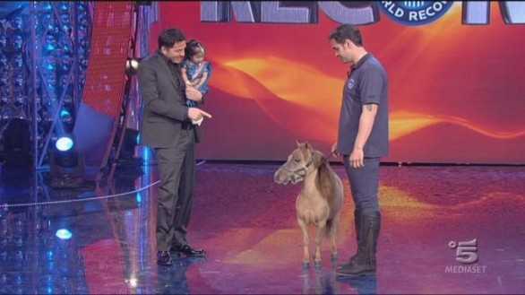 Charlie, il pony più piccolo al mondo è stato rubato