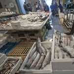 Bari, sequestro di prodotti ittici detenuti illegalmente