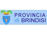 La Provincia di Brindisi organizza un convegno sul Fondo per il Microcredito d'Impresa