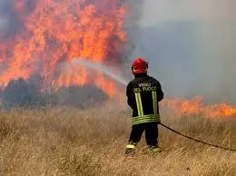 Incendi: Bevacqua scrive a Enrico Letta e Andrea Orlando