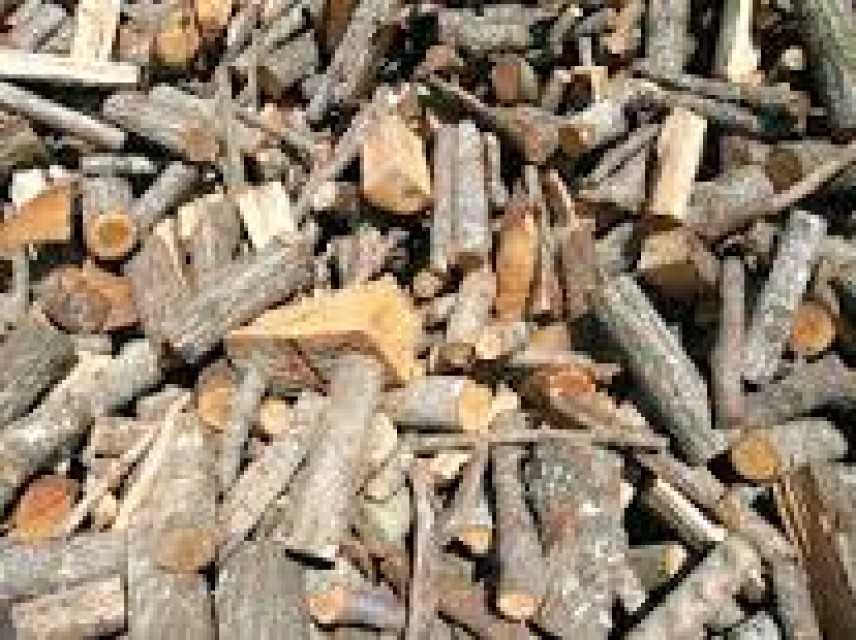 Foggia, arrestati due uomini per taglio abusivo di legname