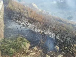 Roseto: vasto incendio, paura tra i bagnanti