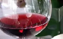 Vini e vigneti di Liguria anche su smartphone e tablet