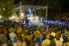 Musica W Festival 2013, un'altra edizione da record