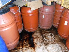 L'Asp Catanzaro sequestra oltre 36.000 kg di conserve vegetali