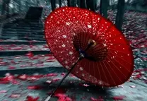 Quando cadrà la pioggia tornerò  di Takuji Ichikawa