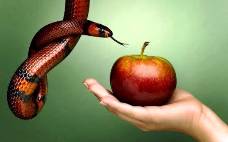 I "peccati imperdonabili"