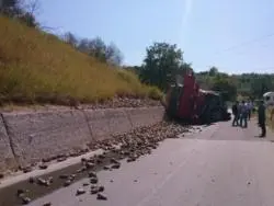 Camion con barbabietole si ribalta a pochi metri dello zuccherificio