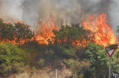 Fiamme a Laconi: 600 persone costrette ad evacuare, 4 i feriti