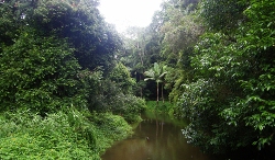 Vietnam, padre e figlio ritrovati nella giungla dopo 40 anni