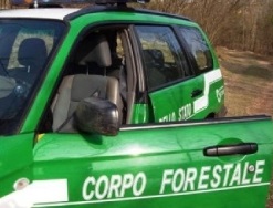 Sequestrata dalla forestale intera area boschiva nel chietino