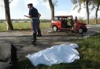 Reato di omicidio stradale ALI: Tema da approfondire