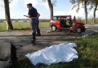 Reato di omicidio stradale ALI: Tema da approfondire