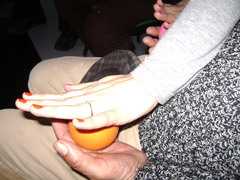 Centro Al.Pa.De., proseguono le attività