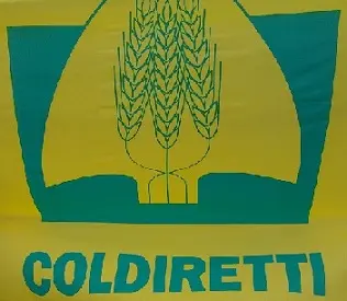 Calabria  Oscar green 2013: premiazione dei vincitori calabresi
