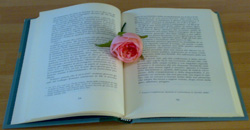 Gabriella Benincasa: Una scuola a misura di persona