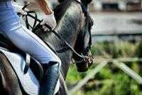 Corsi estivi di equitazione tenuti dal Circolo Mitrano Brindisi