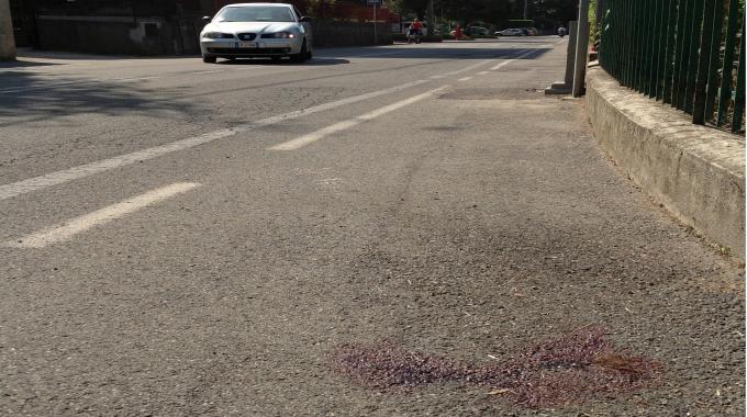 Milano, sedicenne uccisa da un pirata della strada