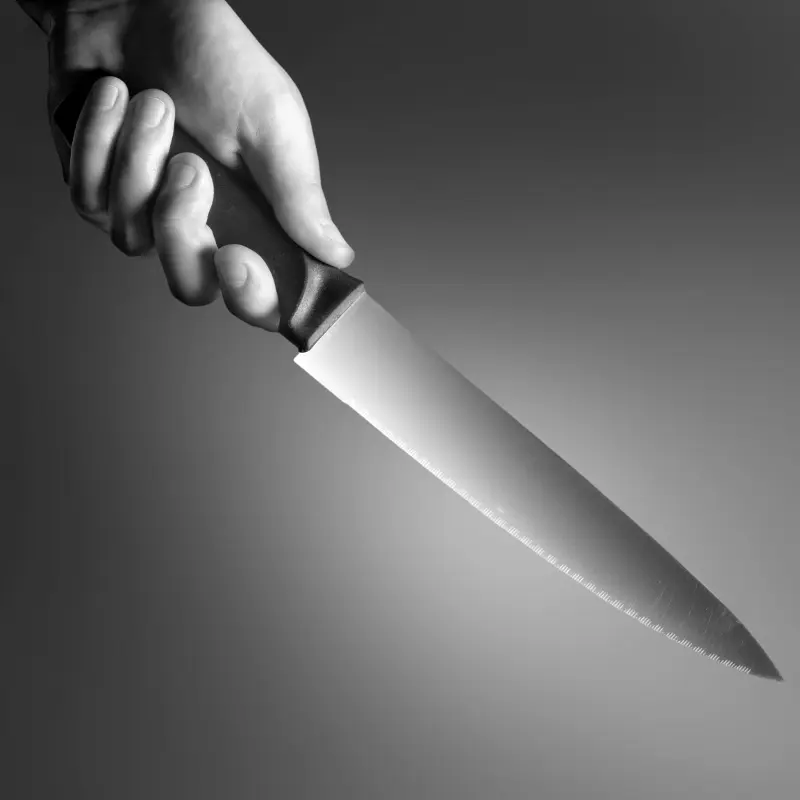 44enne accoltella il convivente: arrestata per tentato omicidio