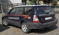 Trento: ragazzo muore dopo accoltellamento in un'area pic nic, indagano i carabinieri