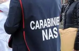 Cagliari: cibi ammuffiti circondati da escrementi di topo, sequestrato market indiano