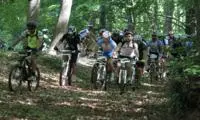 Associazione Explorers Catanzaro: si è svolto ieri il raduno delle mountain bike