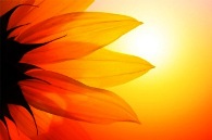 La bellezza del perdono di Dio