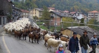 Decima edizione della festa della Transumanza