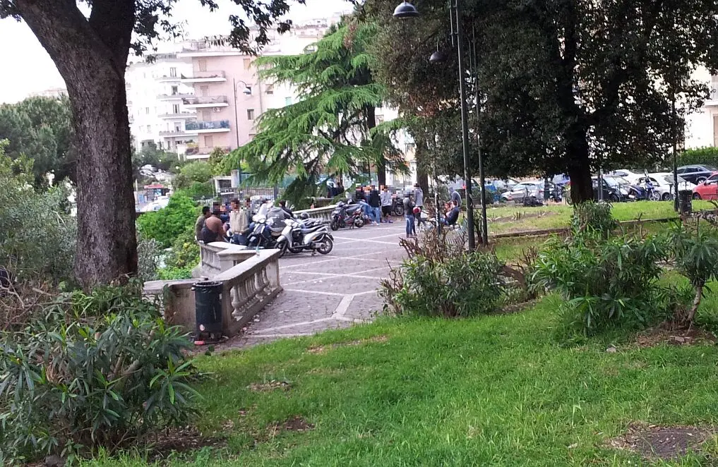 Napoli: proposto il "garante per la tutela degli alberi"