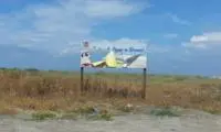 A Tarquinia lido la spiaggia per cani abbandonata e inaccessibile, solo regole e nessun servizio