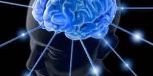 Ricordi eterni grazie alla proteina della memoria