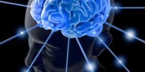 Ricordi eterni grazie alla proteina della memoria