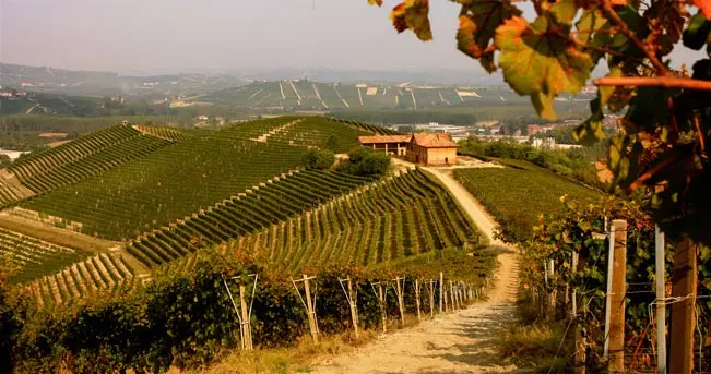 Presentato ad Unioncamere il progetto per tutelare le colline del Piemonte