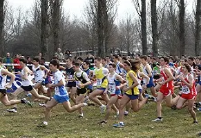 L'Aquila protagonista delle finali nazionali dei giochi studenteschi