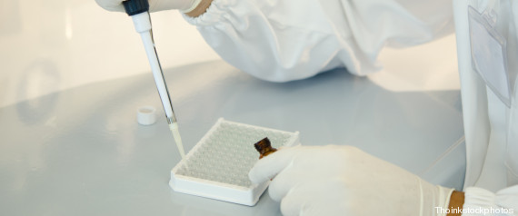 É morta Sofia Pirisi, la bimba simbolo della cura con le staminali