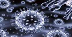 Nuovo coronavirus.Scarsa attenzione delle autorità sanitarie nazionali