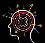 Speciale Biennale 2013 - Il Palazzo Enciclopedico