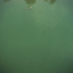 CENTRALE FOTOGRAFIA 2013 - "Il primo lustro"