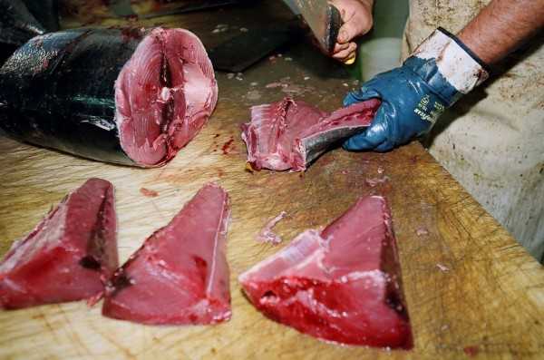 Palermo, sequestrati 400 chili di tonno avariato