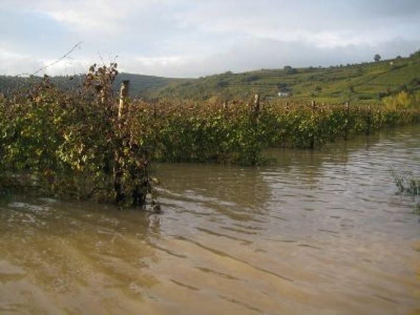 Maltempo e speculazione, i drammi del Veneto