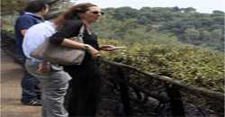 Incendi: 2 roghi a Catanzaro in parco Biodiversita', ipotesi dolo