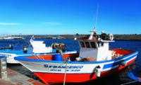 Lega pesca torna a denunciare fallimento Bando Ue e chiede interventi a favore di ex-spadaroti