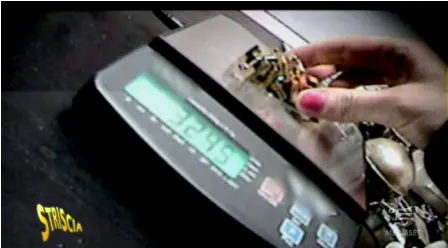 Luca Abete, il compro oro e la bilancia birichina