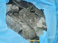 Senigallia: ritrovamento di rifiuti pericolosi