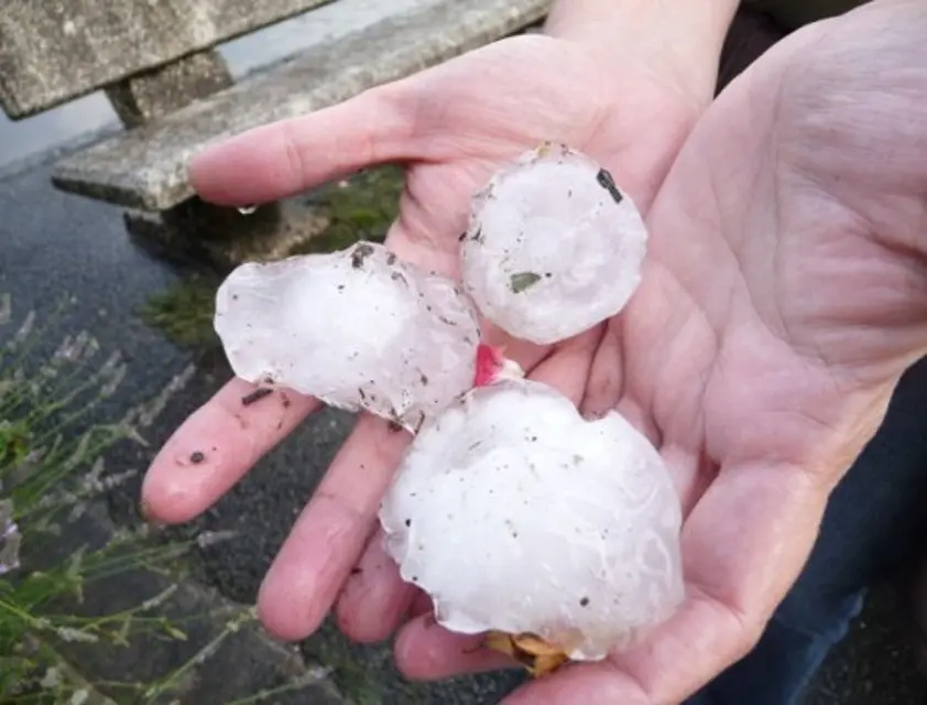 Verona: grandine e danni alle aziende agricole. Vigasio chiede la stato di calamità