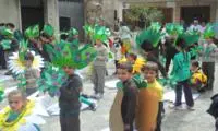 San Donato di Ninea celebra la natura con la "Festa dell'Albero"